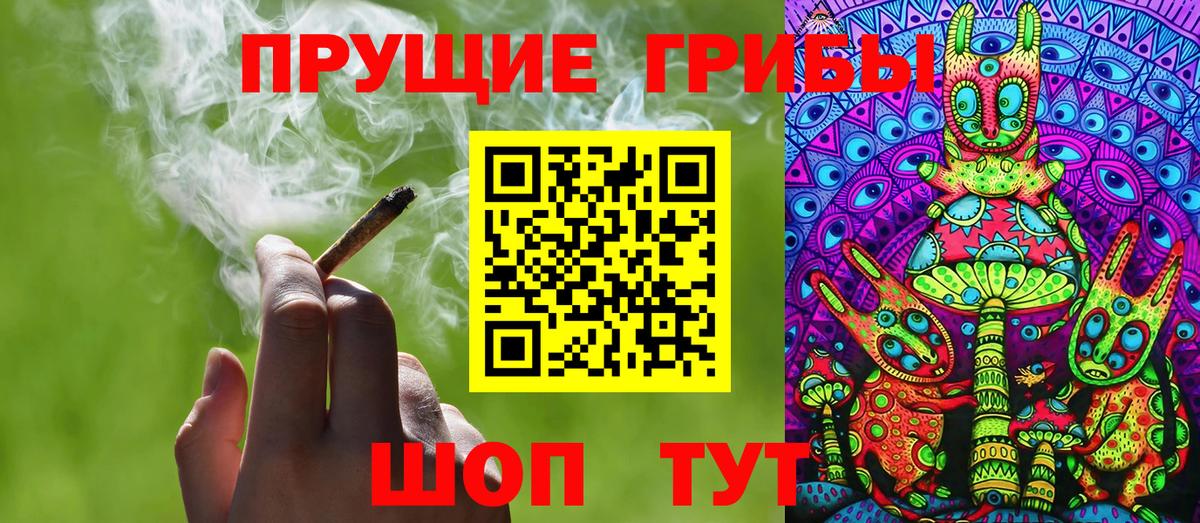 Майский  Псилоцибиновые грибы Psilocybe  Вход с VPN 