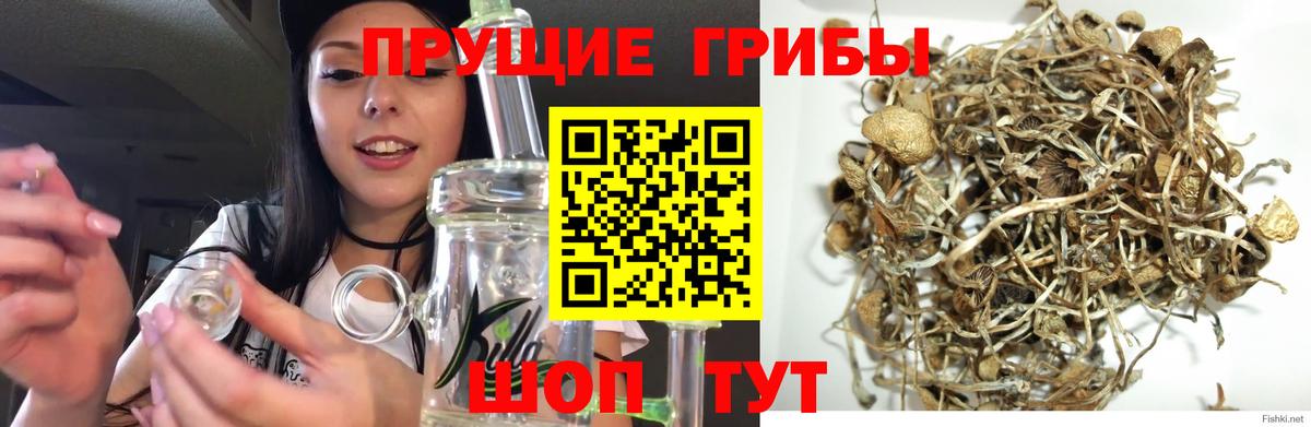 Галлюциногенные грибы MAGIC MUSHROOMS Майский